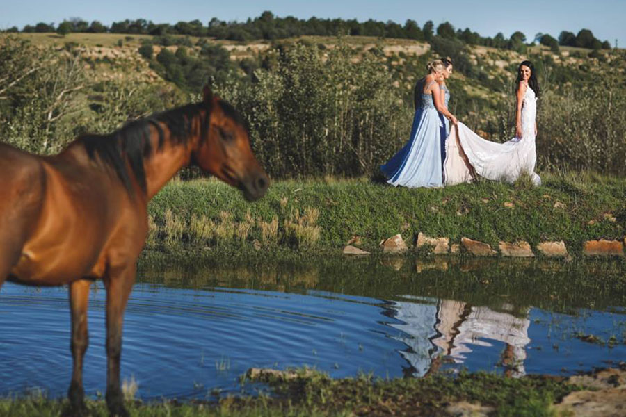 Lavender Hill Country Estate - Wedding Venues Clarens