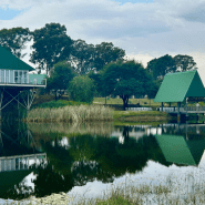 Grey Goose Game Lodge